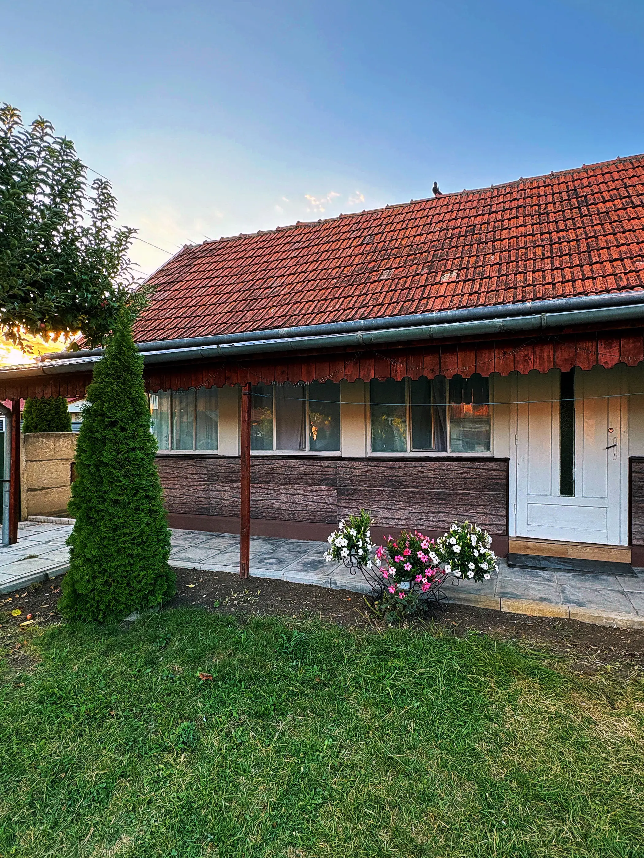 The front of the house at sunset, with a thuja and flowers by the porch