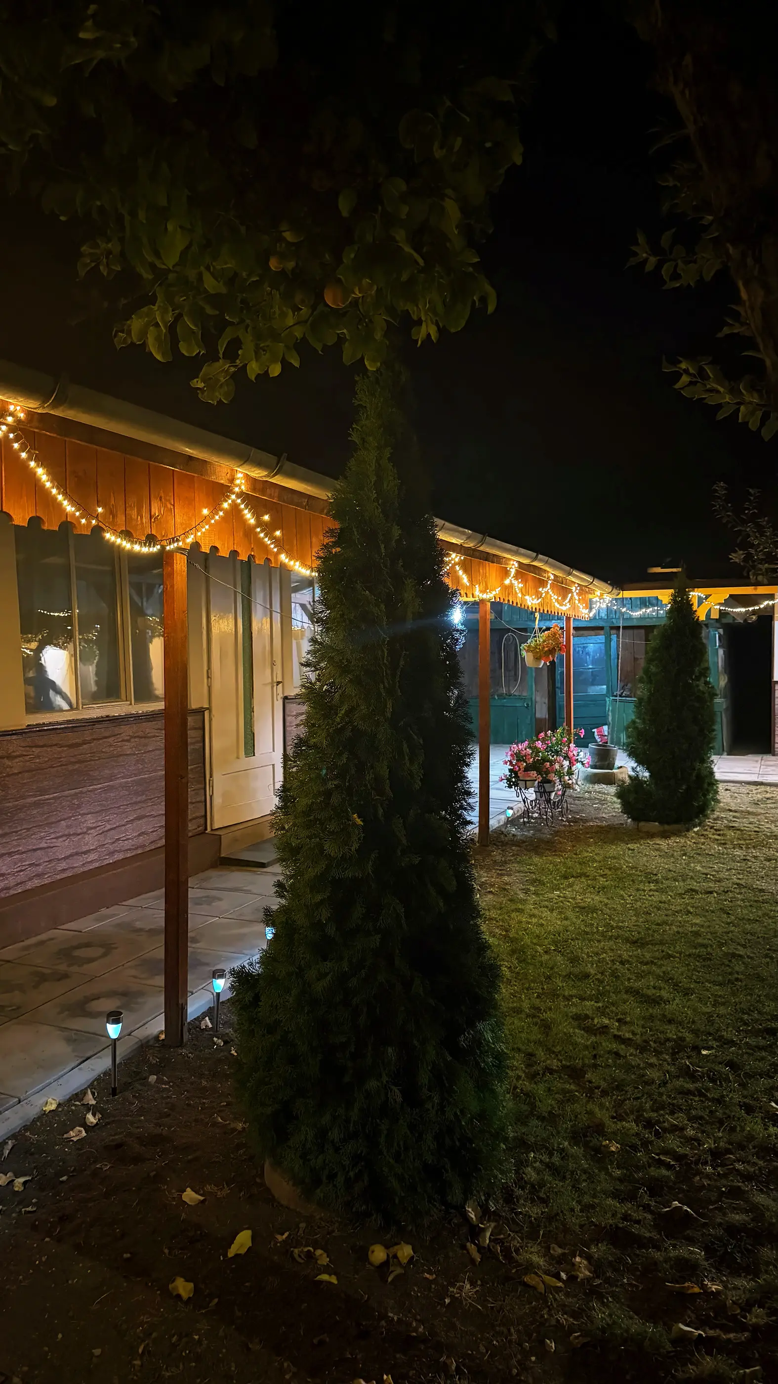 The garden at night, with lights along the whole porch